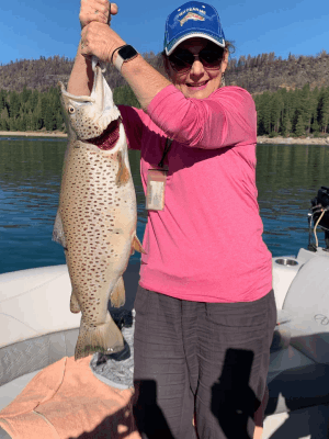 Shaver Lake Brown Trout